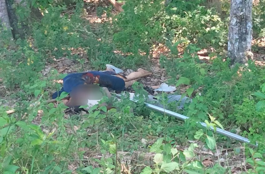  Dua Warga Meninggal Dunia Tersengat Listrik Saat Panen Buah Kuini di Nagan Raya