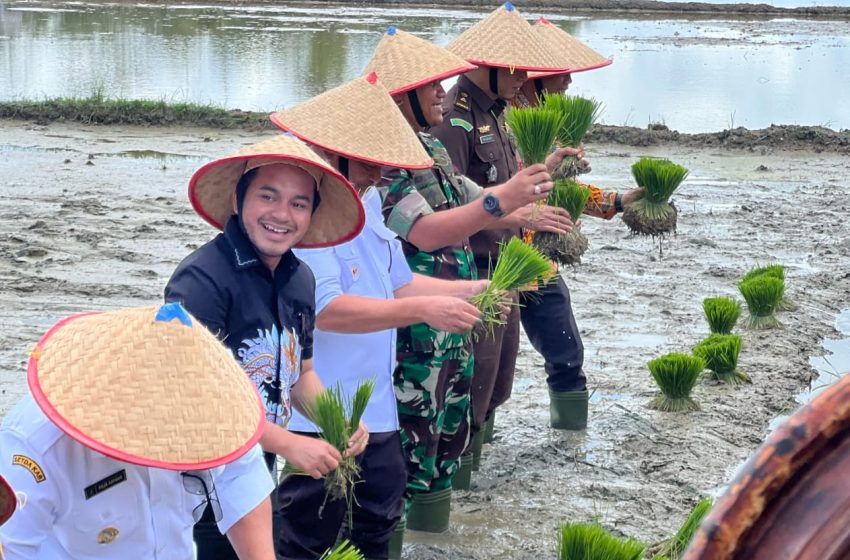  Ketua DPRK Nagan Raya Hadiri Kegiatan Tanam Padi Serentak di Desa Puloe Ie