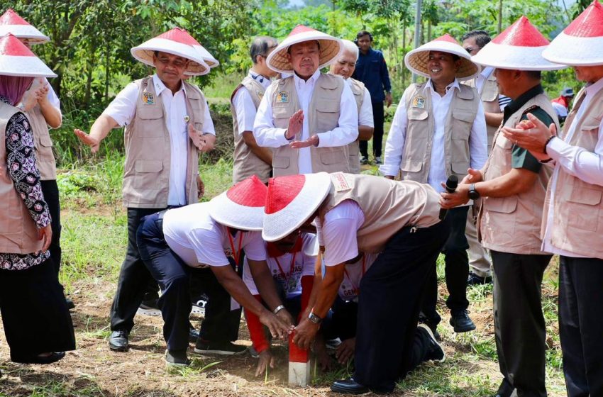 Pasang Patok, Cara Sederhana Cegah Sengketa Tanah dengan Tetangga