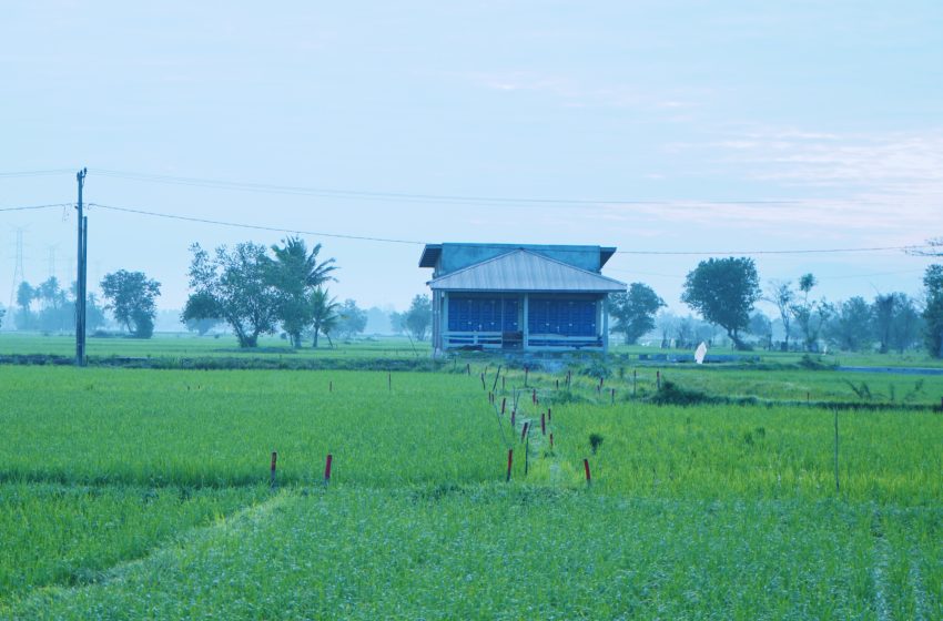  Mengenal Asas Kontradiktur Delimitasi, Kunci Kepastian Batas Bidang Tanah