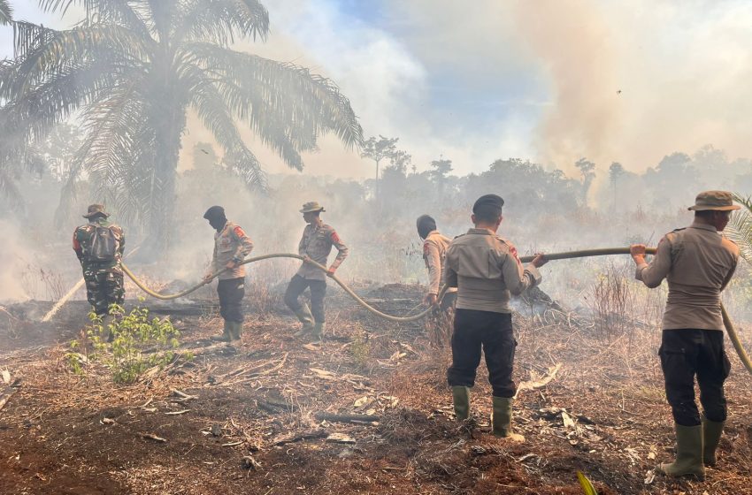  Karhutla Terjadi di Nagan Raya, Brimob Batalyon C Pelopor Bersinergi Padamkan Api